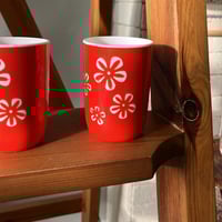 نص درزن | كاسات بلاستيك فنتج