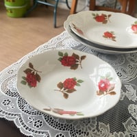 صحون فنتج من "Tokyo" مزين بالورد الأحمر