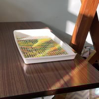 صينية صناعة يابانية فنتج