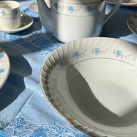 صحون فنتج بتوريد أزرق