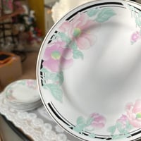 نص درزن صحون صين فنتج