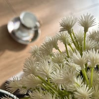 كوب بورسلان من الخزف الصيني العتيق