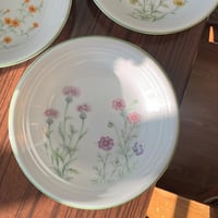 مجموعة من 5 صحون بورسلين فنتج | ماركة "تاتشيكيتشي"...