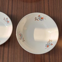 صحون خزف صيني فنتج