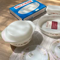 مطبقية اركوبال اصدار الثمانينات