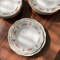 صحون سيراميك فنتج | بتوريد أنيق