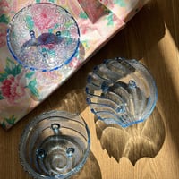 صحون زجاجيه فنتج