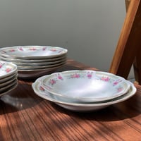 صحون سيراميك فنتج | بتوريد أنيق