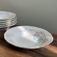 صحون صين فنتج | مجموعة من 6 قطع