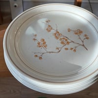 صحون صناعة أمريكية فنتج ماركة كورنينغ