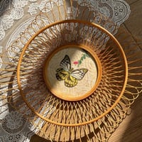 من الخيزران - صناعة تايوان فنتج