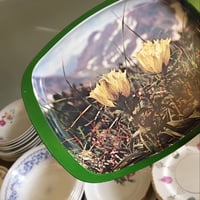 صينية صغيرة حديد صناعة يابانية فنتج