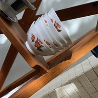 مجموعة من 5 بوادي فنتج