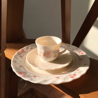 صحن فرنسي فنتج من اركوبال