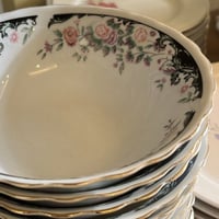 بادية موردة فنتج