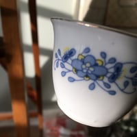 فنجال ( اهلاً بكم في الشمال )