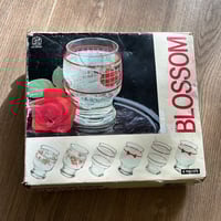 نص درزن كاسات فنتج مورده