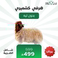 هرفي كشميري (بدون ليه)