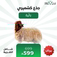 نعيمي كشميري - جذع