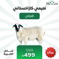 نعيمي كازاخستاني - هرفي