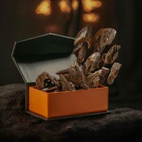 عود الجمعة كلمنتان