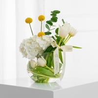 مزهرية لؤلؤة روزيتا المعلقة