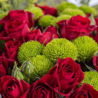 باقة شعلة حب