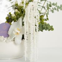 فازة النقاء مع عطر جيورليان