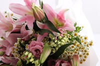 ليلي بنك مع يستوما