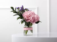 فازة الهيدرنجيا جمال الطبيعة