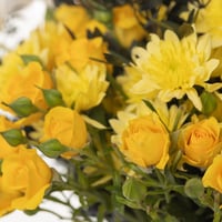 فازة ميلودي الكرز