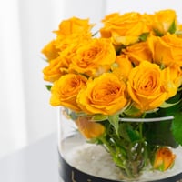 مزهرية سحر القمر الاصفر