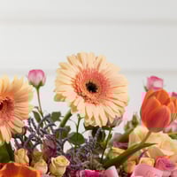 سلة التوليب الراقص