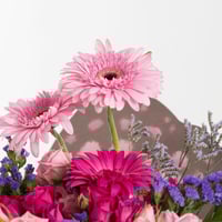 باقة الفراشات الراقصة