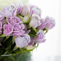 مزهرية انفاس الفجر الاولى