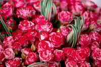 باقة رقة مزدوجة