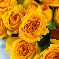 مزهرية سحر القمر الاصفر