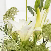 فازة ايمي وانفاس كازبلانكا