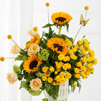 فازة لمسة فراشة ذهبية