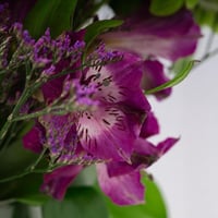 مزهرية بنفسجية براقة مع مكس براند من هانوفيرين