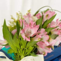 باقة سولداجو مع شوكلت جولدن تاتش