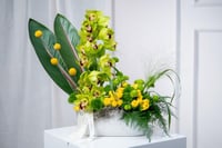 فازة الغابة الذهبية