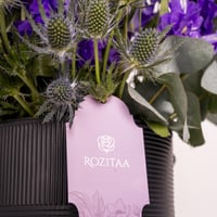 فازة تخرج دلفنيوم مع براند مكس من هنوفيرين