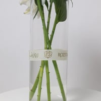 لطافة الليلي