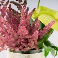 مزهرية النسيم الدافيء مع مكعبات الكراميل من هانوفي...