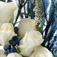 فازة نسمة الدرعية