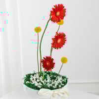 فازة شعلة الحب