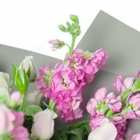 باقة ماثيولا