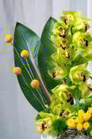 فازة الغابة الذهبية