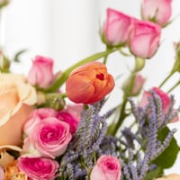 سلة التوليب الراقص